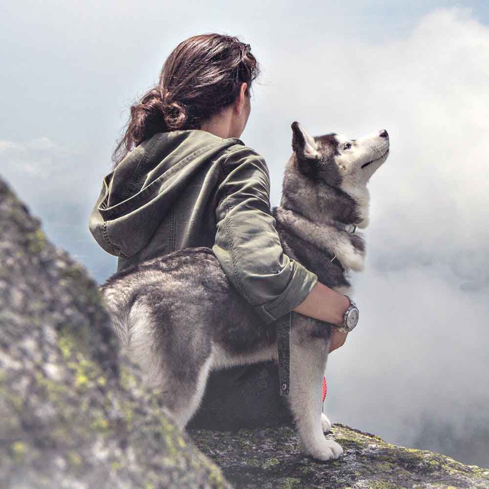Девушка С Собакой Фото Со Спины